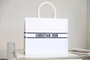 Christian Dior Book Tote Bag