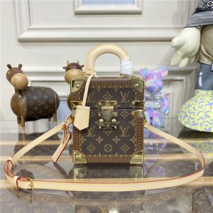 Louis Vuitton Camera Box Monogram