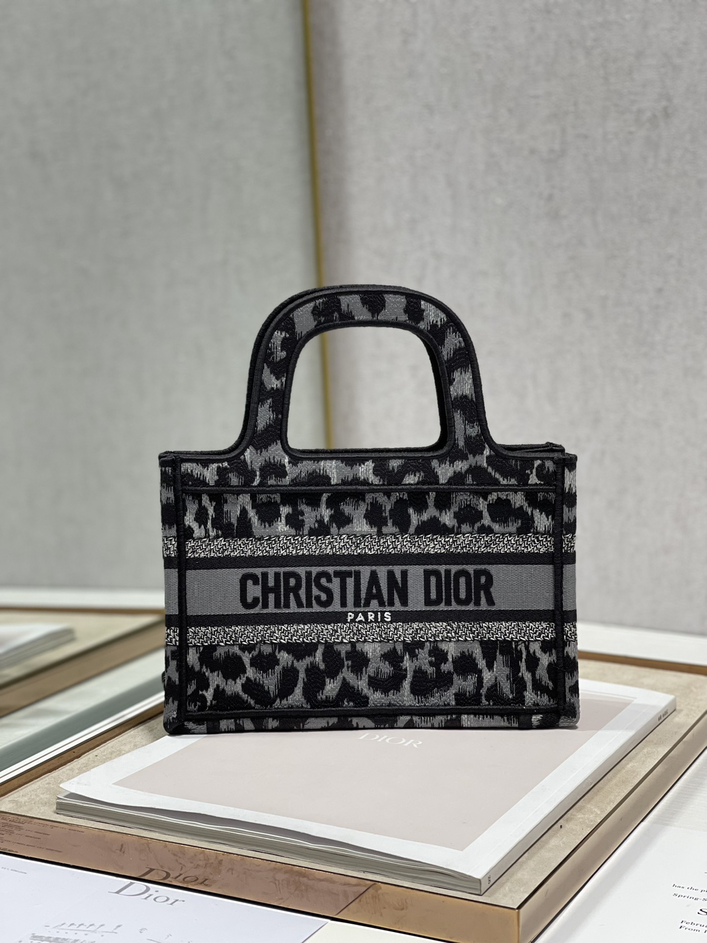 Dior Book Tote bag