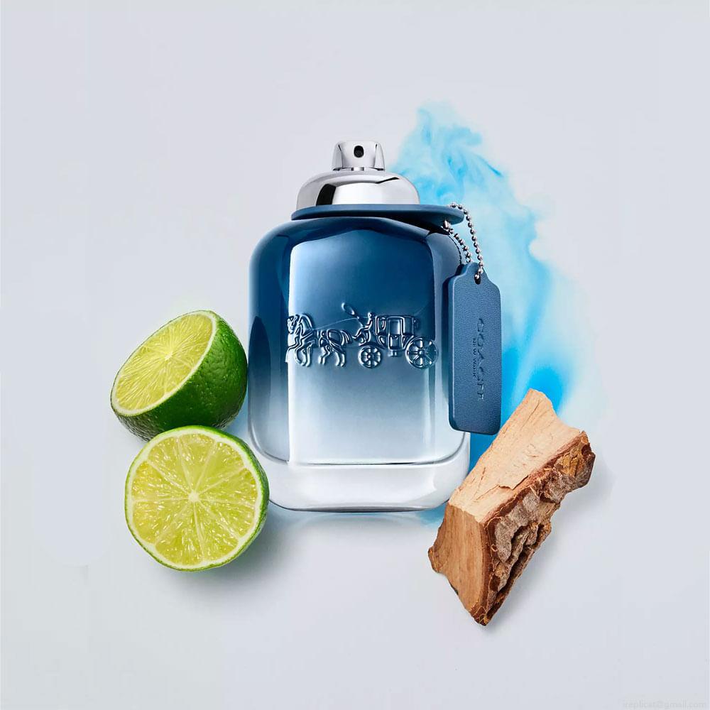 Perfume Coach Blue Masculino Eau de Toilette 100 ml