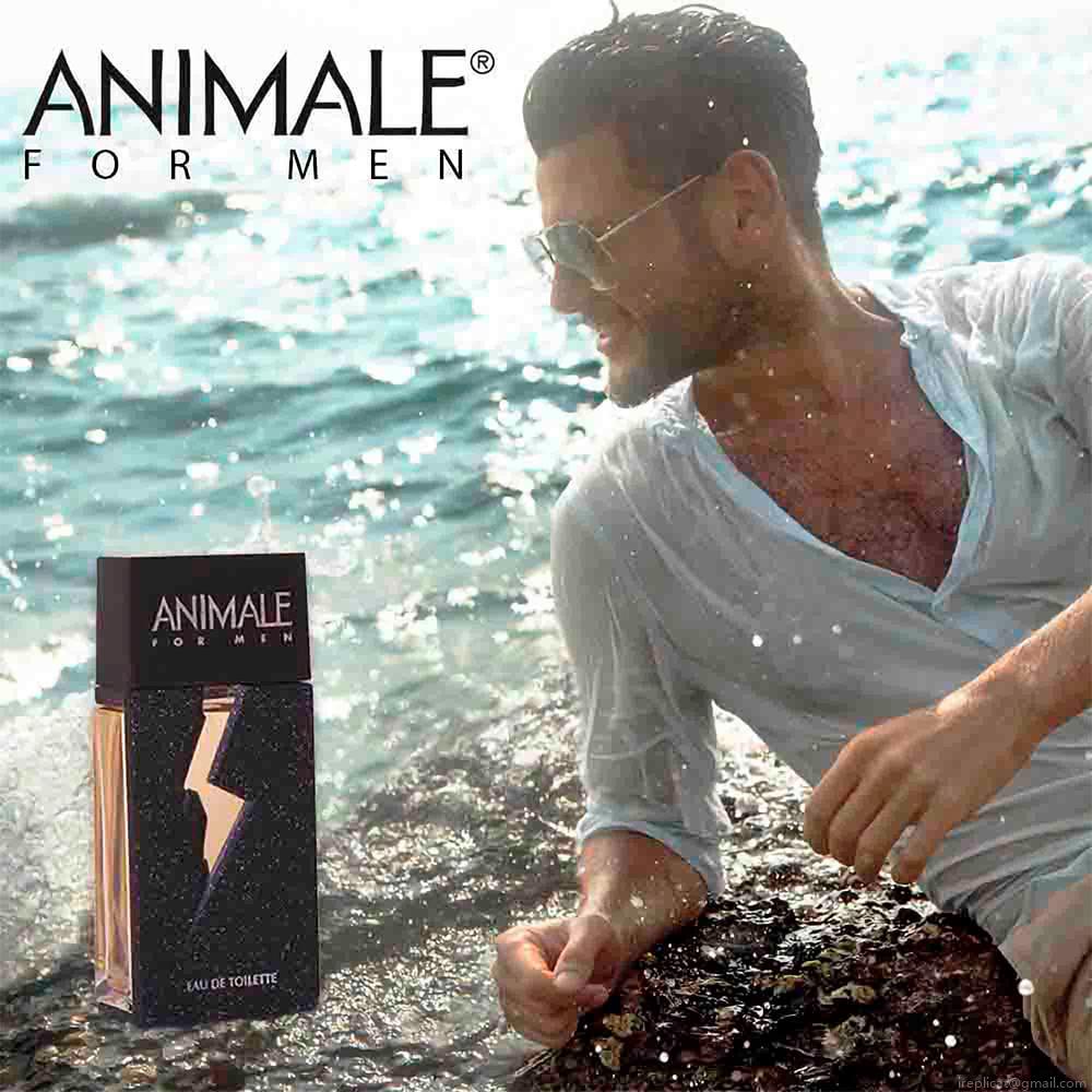 Perfume Animale For Men Masculino Eau de Toilette 100 ml