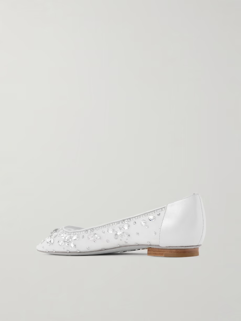 Leather-trimmed crystal-embellished tulle point-toe flats